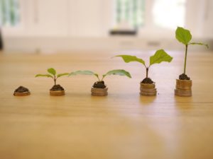 various stages of growing seeds