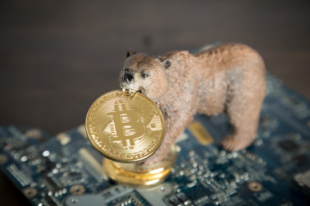 crypto bear bitcoin