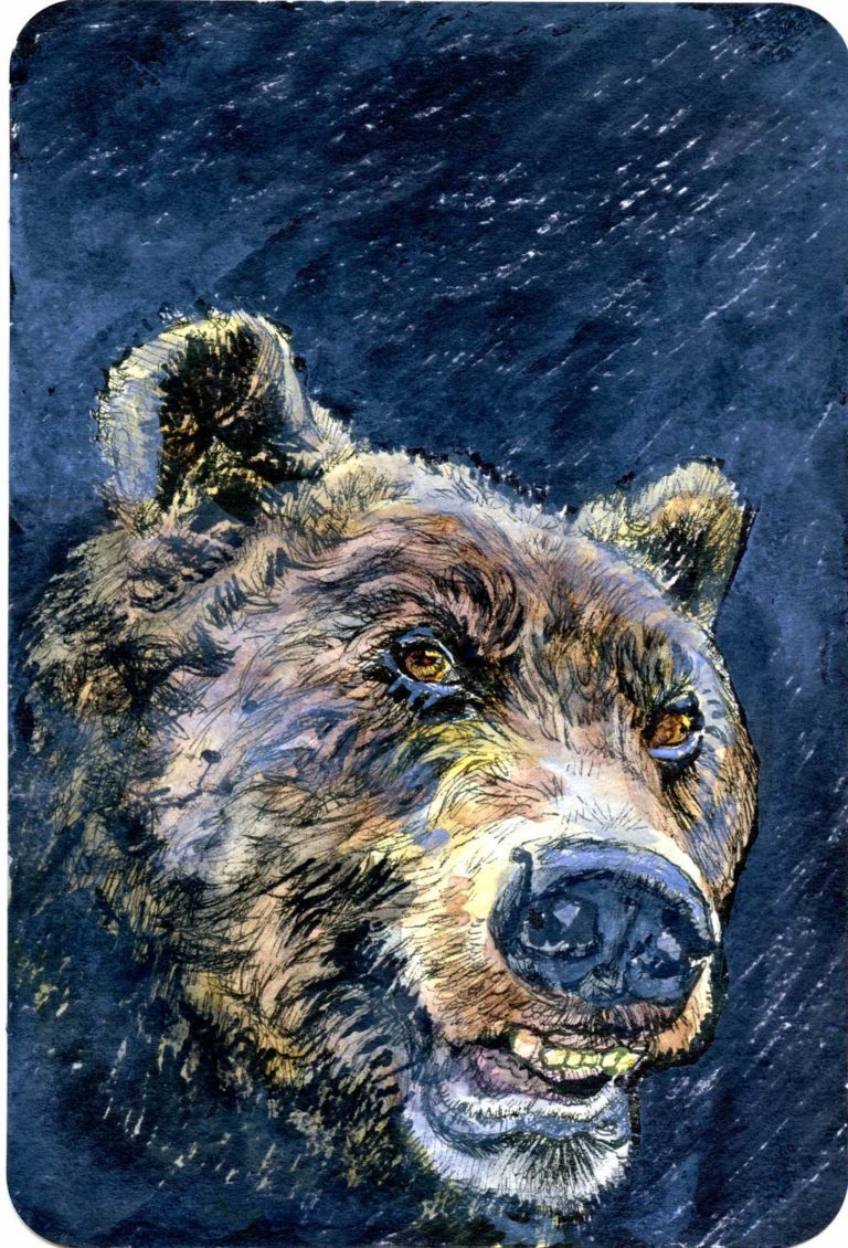 Van Gogh style painting of bear's face